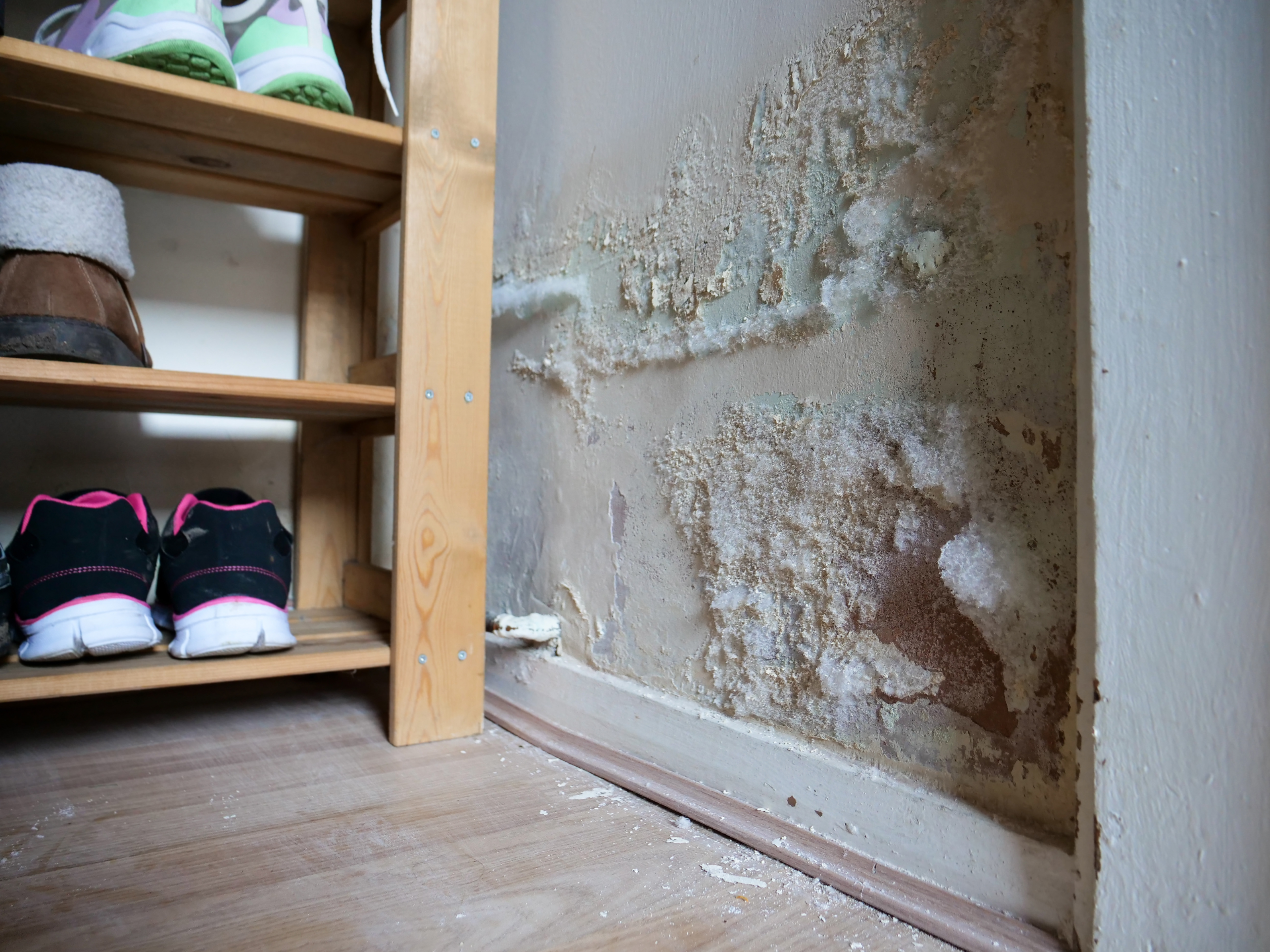 GeoBrix Mold Repair and Rebuild project in North New Jersey