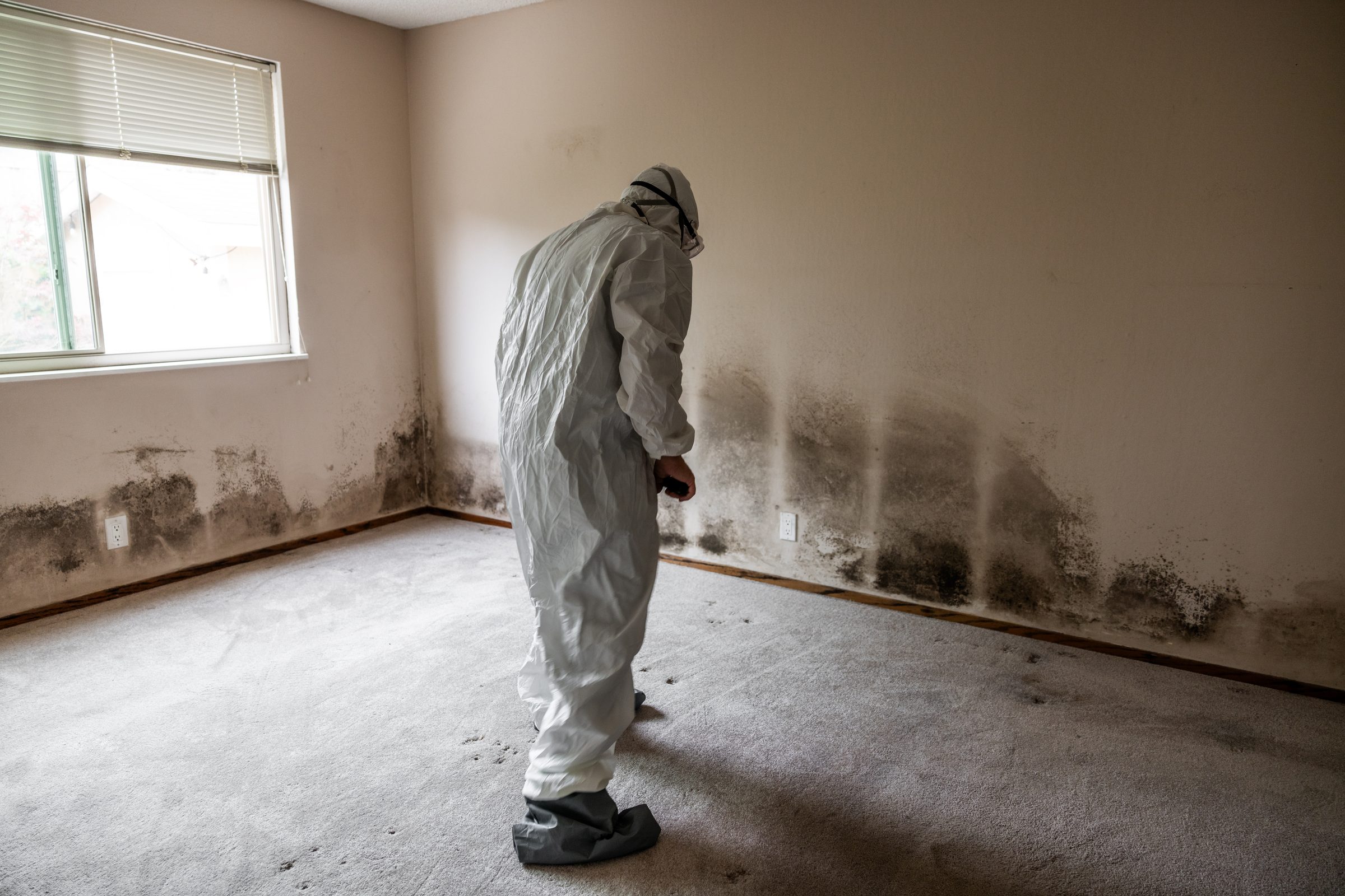 GeoBrix Mold Repair and Rebuild project in North New Jersey