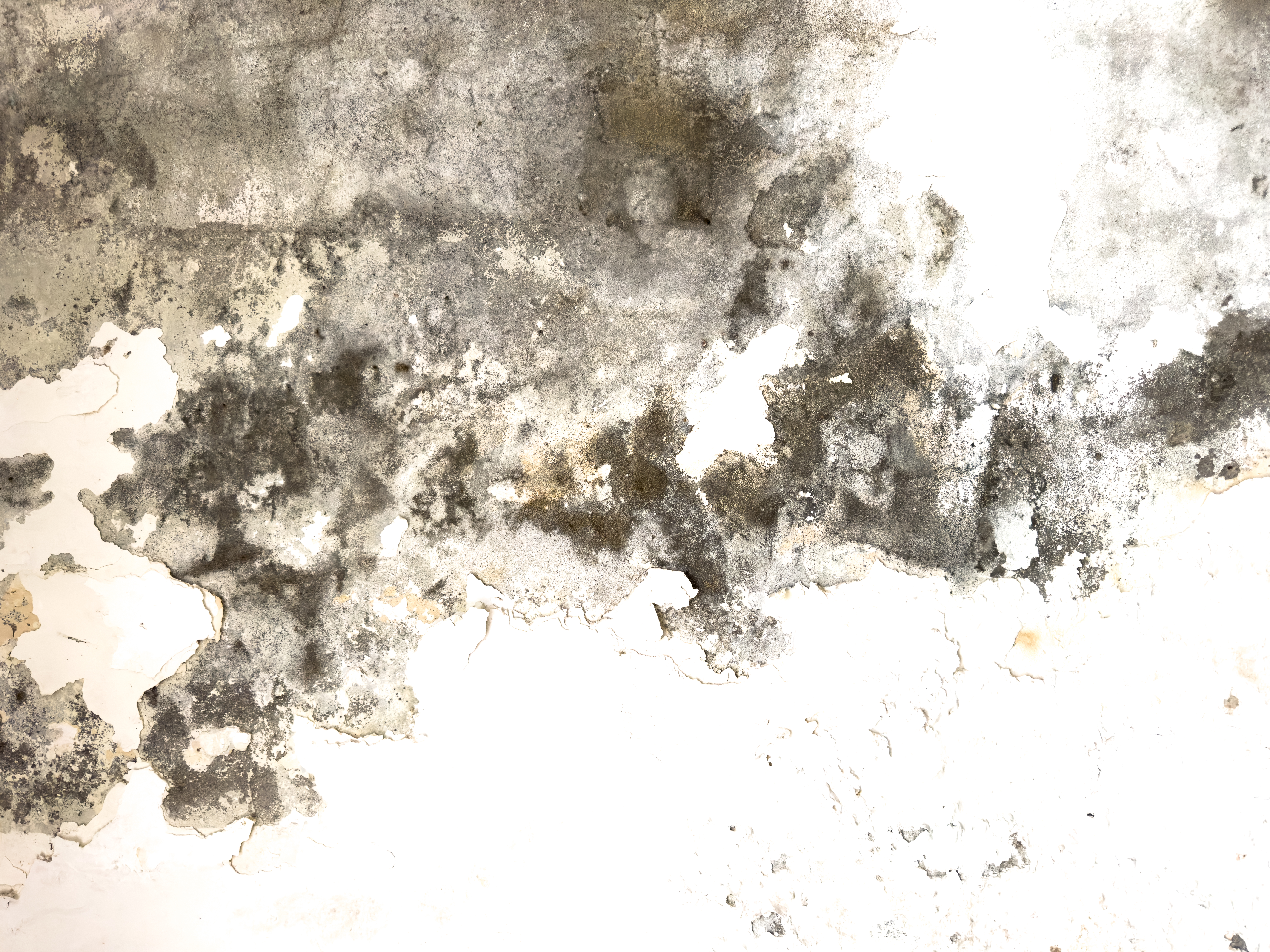 GeoBrix Mold Repair and Rebuild project in North New Jersey